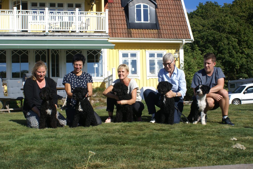 Från vänster Pastill "Tora", Tryffel "Bacchus", Knäck "Max", Fudge "Käck" och Mint "Mille"