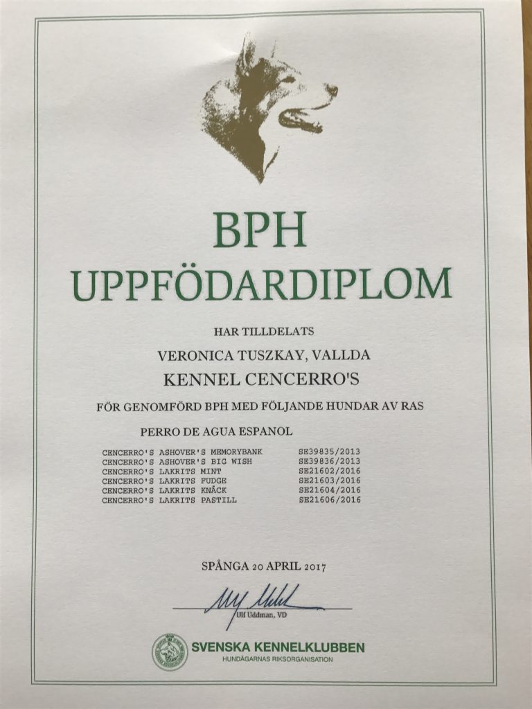 BPH Uppfödardiplom