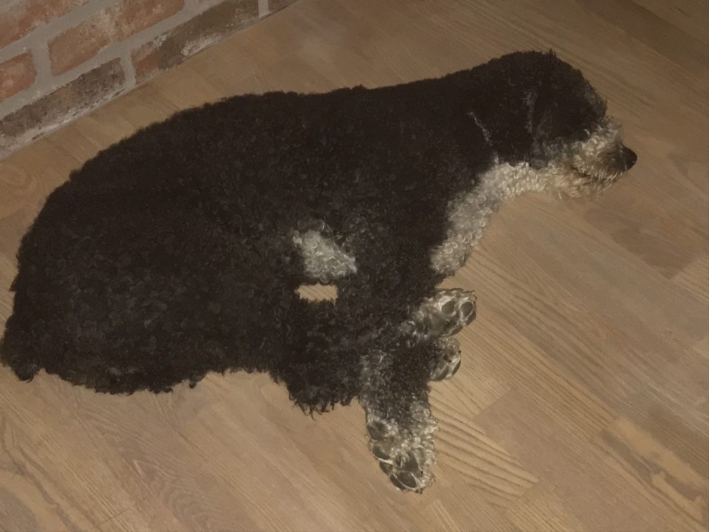nöjd, glad och trött