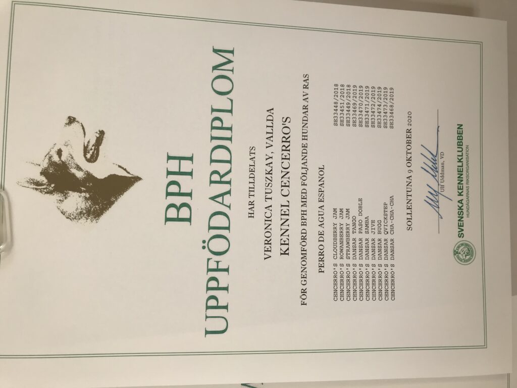 Uppfödardiplom nummer 2